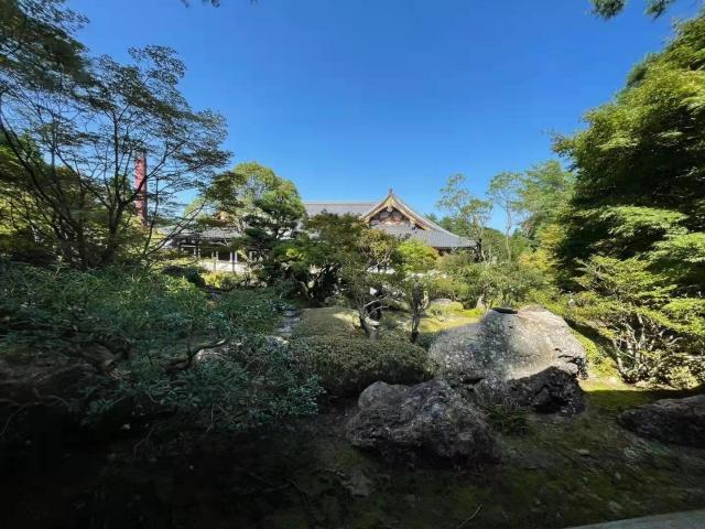 开云-日本阿含･桐山杯许家元首度加冕，井山事不过“五”